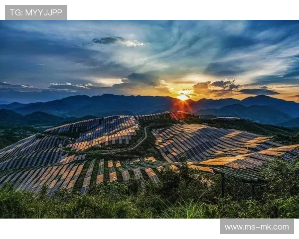 行业形成良性内容创作生态,激励优秀作品产出 行业形成良性内容创作生态,激励优秀作品产出